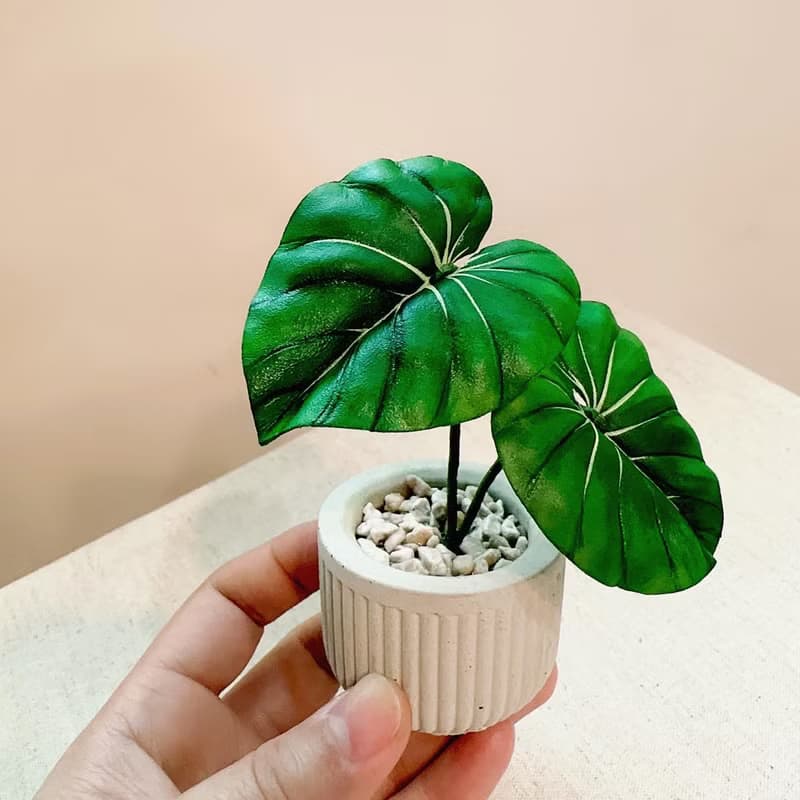 大麥克蔓綠絨－手工革製小盆栽 送禮