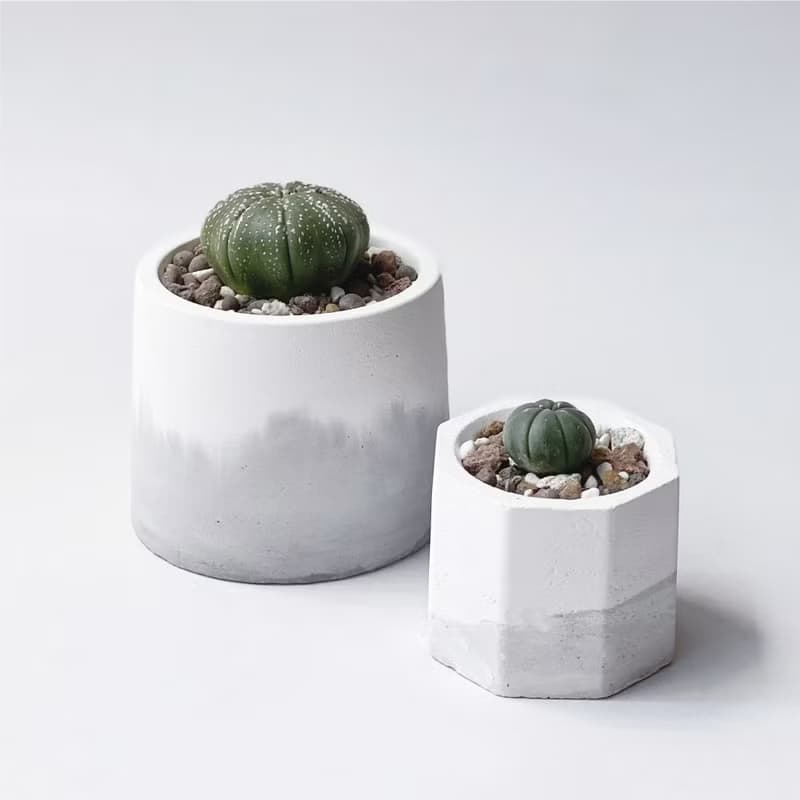 (現貨) 白灰漸層系列 | 三吋兜 圓形雙色水泥多肉植栽