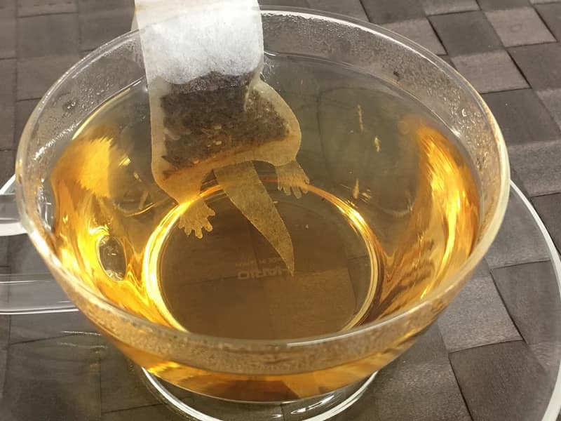 Knights Otter茶包 - 蘋果茶 - 4包。