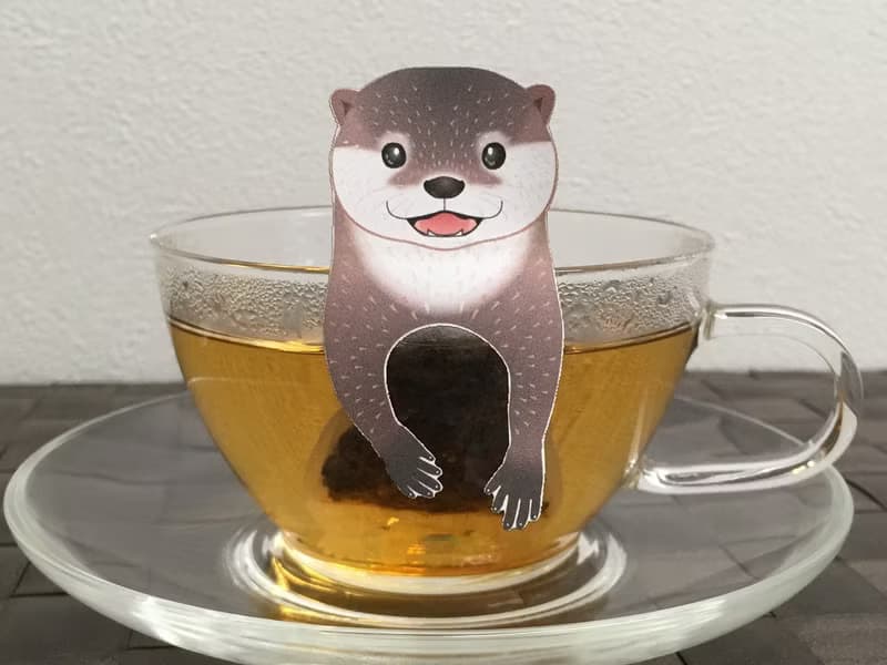 Knights Otter茶包 - 蘋果茶 - 4包。