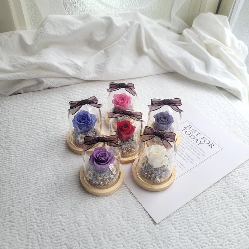 【現貨】迷你永生花玻璃球罩盅。5公分。附包裝。。畢業。老師禮