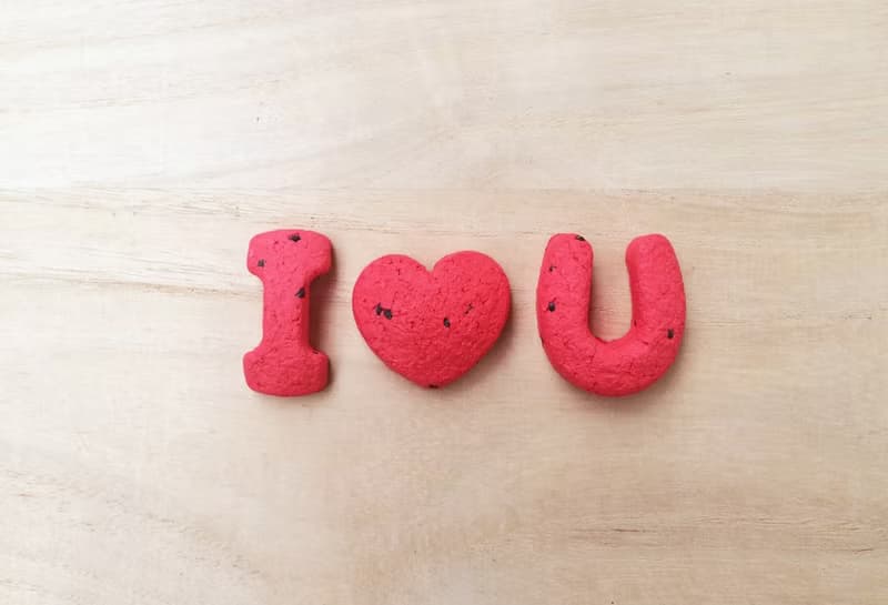 【天天說愛你】I Love U 字母種子球植栽組