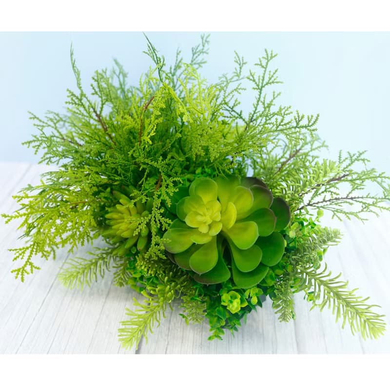 高擬真蕨草多肉植物盆栽/擬真植物/禮物/綠化/永不凋零/佈置
