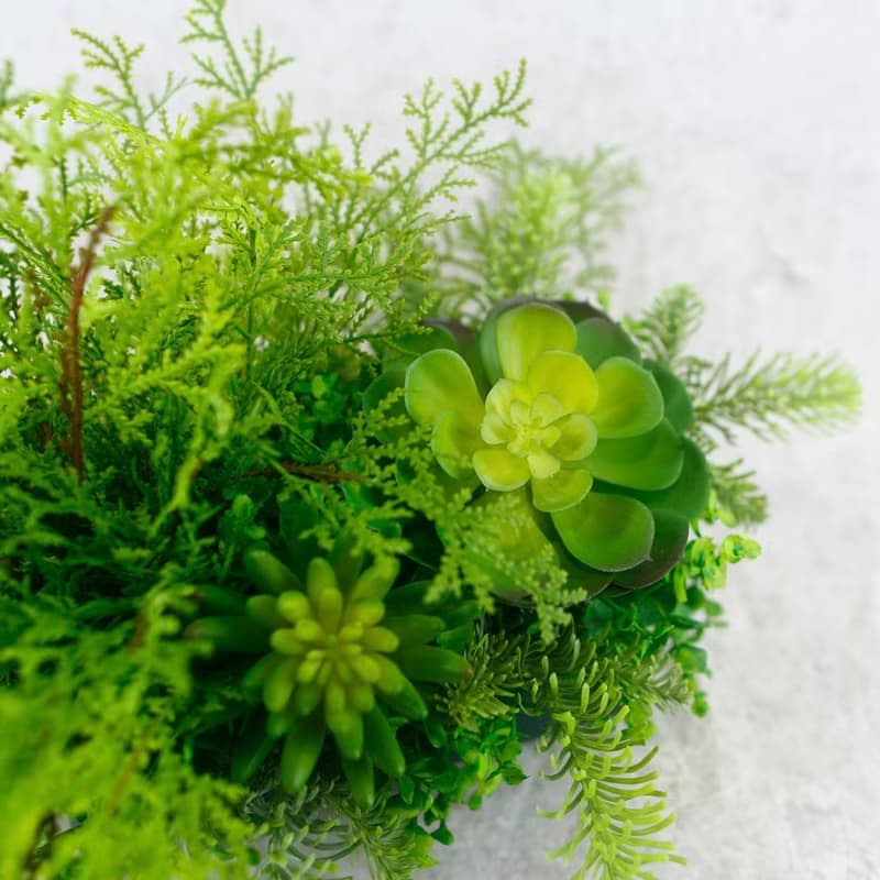 高擬真蕨草多肉植物盆栽/擬真植物/禮物/綠化/永不凋零/佈置