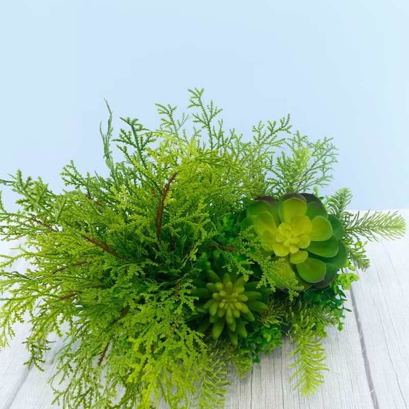 高擬真蕨草多肉植物盆栽/擬真植物/禮物/綠化/永不凋零/佈置