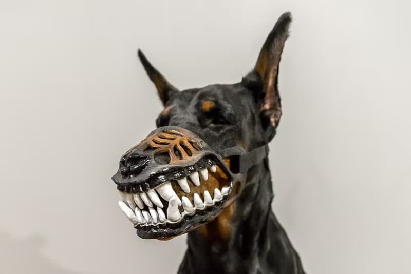 Werewolf Bloodless Dog muzzle Scary Doberman muzzles Pet Gift Halloween Costume