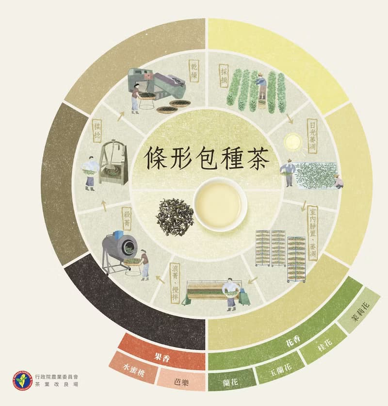 【COTE 茶 Bar】喫的台灣茶_坪林包種茶_ICA得獎作品