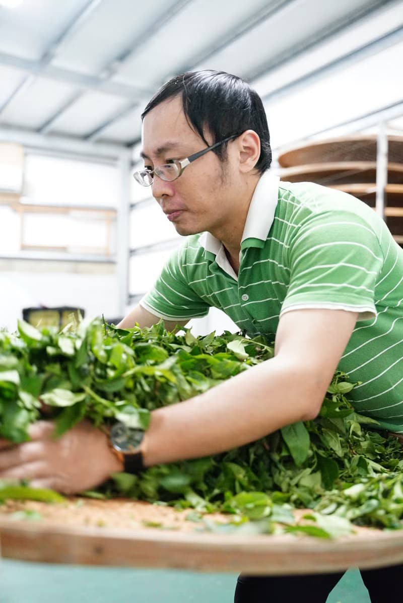 【COTE 茶 Bar】喫的台灣茶_坪林包種茶_ICA得獎作品