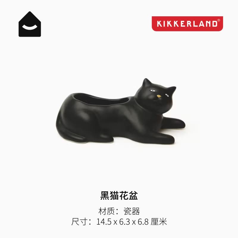 美國 Kikkerland 黑貓花盆 可愛多肉花盆迷你花器 桌面裝飾擺件