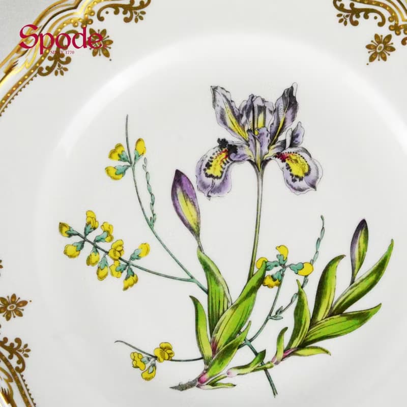 英國Spode-Stafford Flowers斯塔福之花系列-23.5cm盤