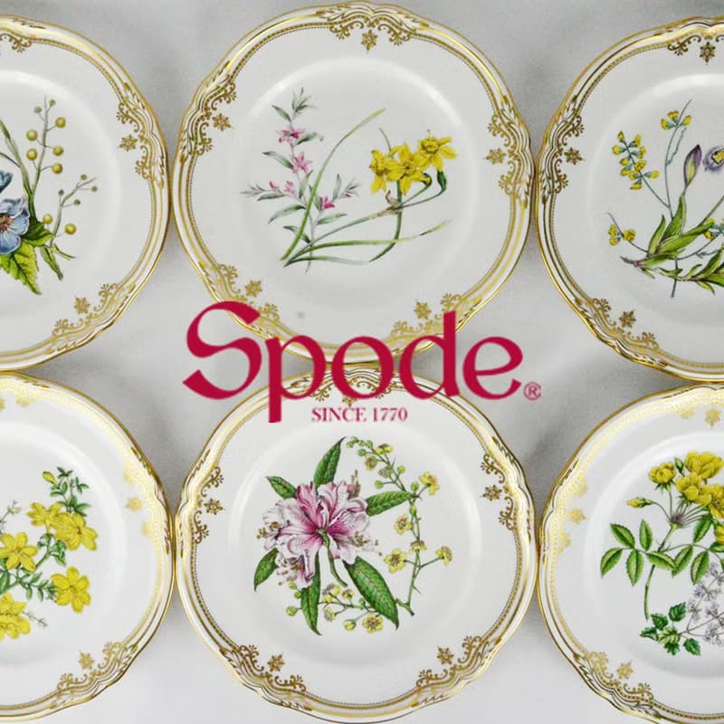 英國Spode-Stafford Flowers斯塔福之花系列-23.5cm盤
