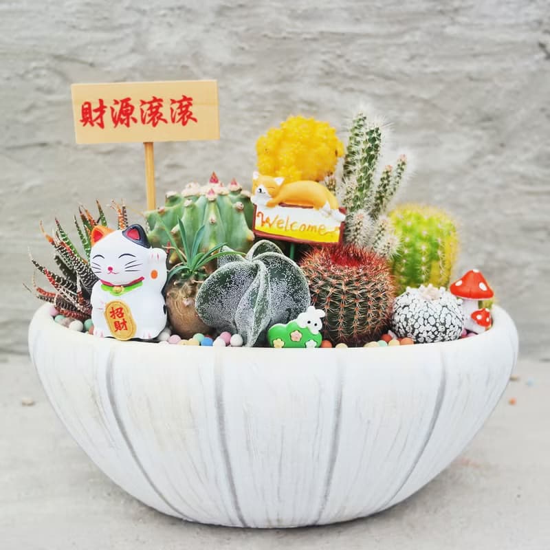 【荳荳多肉】【復古刷色橢圓植栽組】喬遷│送禮│升遷│多肉植物
