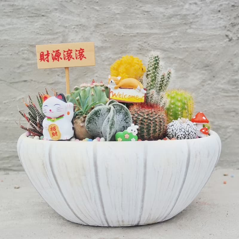 【荳荳多肉】【復古刷色橢圓植栽組】喬遷│送禮│升遷│多肉植物