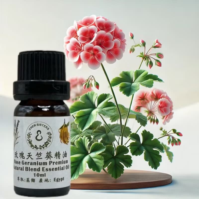 花香調精油 玫瑰天竺葵 100%單方純精油 10ml/50ml  贈精美擴香石