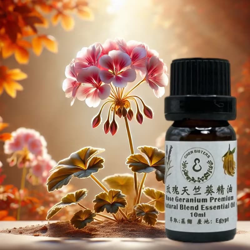 花香調精油 玫瑰天竺葵 100%單方純精油 10ml/50ml  贈精美擴香石