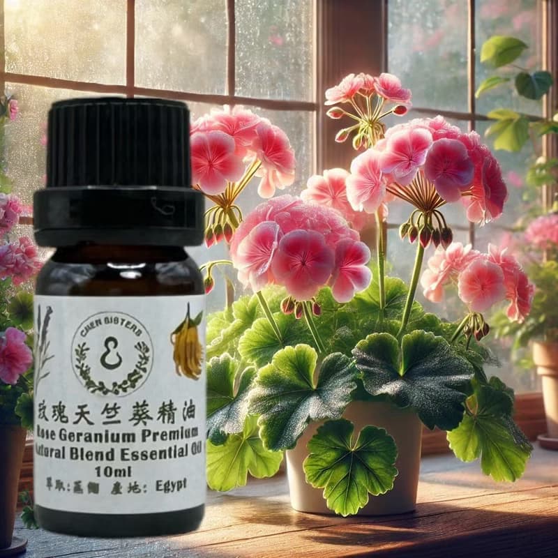 花香調精油 玫瑰天竺葵 100%單方純精油 10ml/50ml  贈精美擴香石