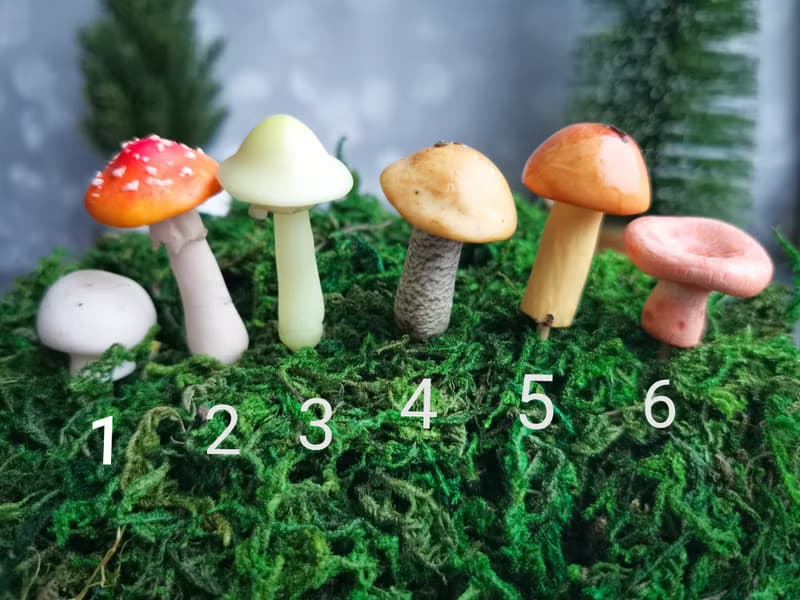 神奇的快樂微型蘑菇童話花園玻璃容器有趣的植物樁