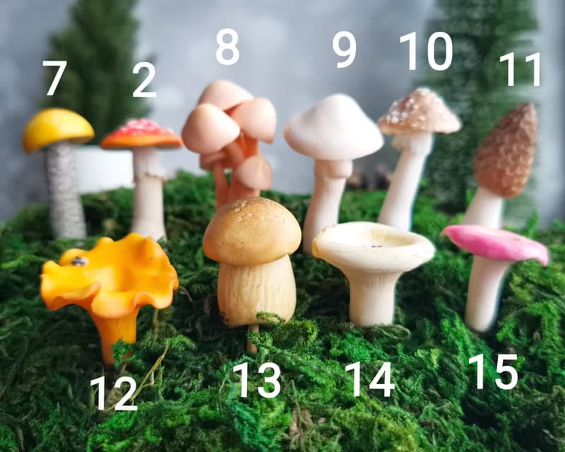神奇的快樂微型蘑菇童話花園玻璃容器有趣的植物樁