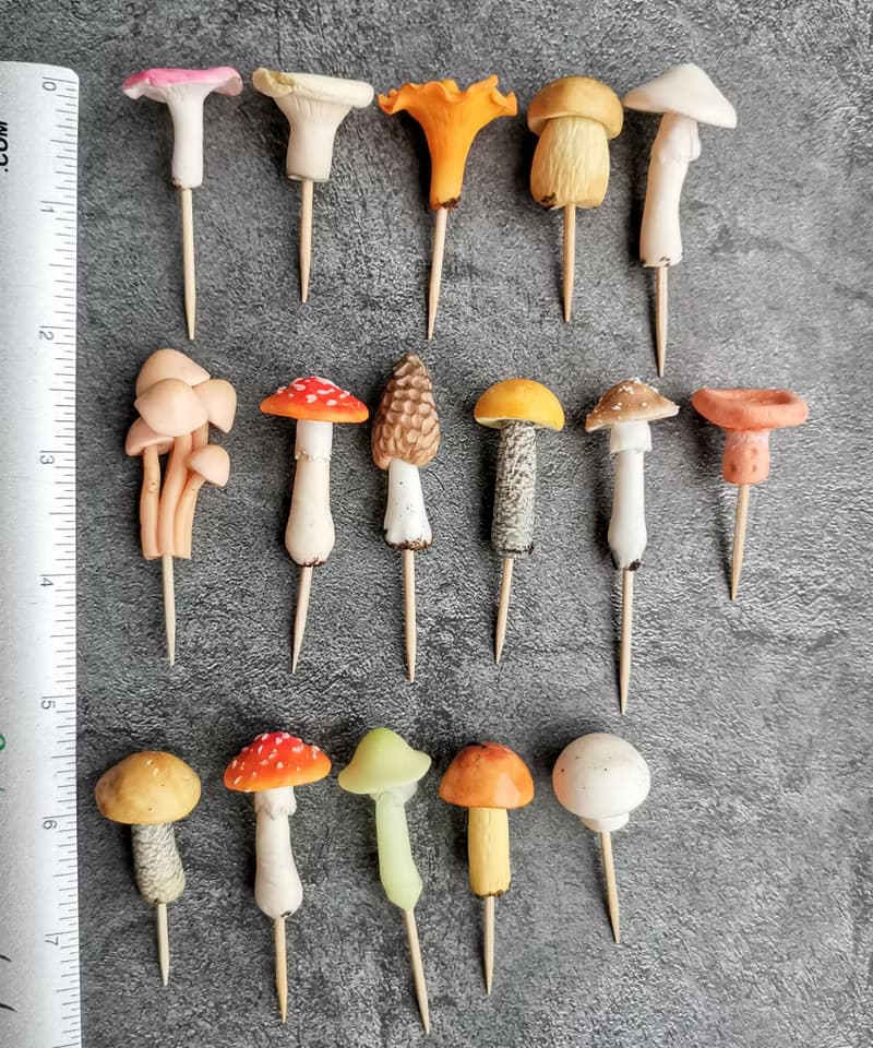 神奇的快樂微型蘑菇童話花園玻璃容器有趣的植物樁