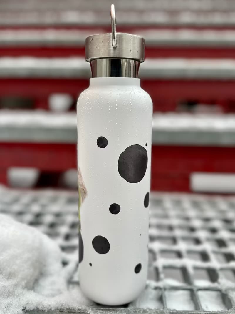 Steel bottle in cyclops style. Stainless steel thermos. Bottle for water