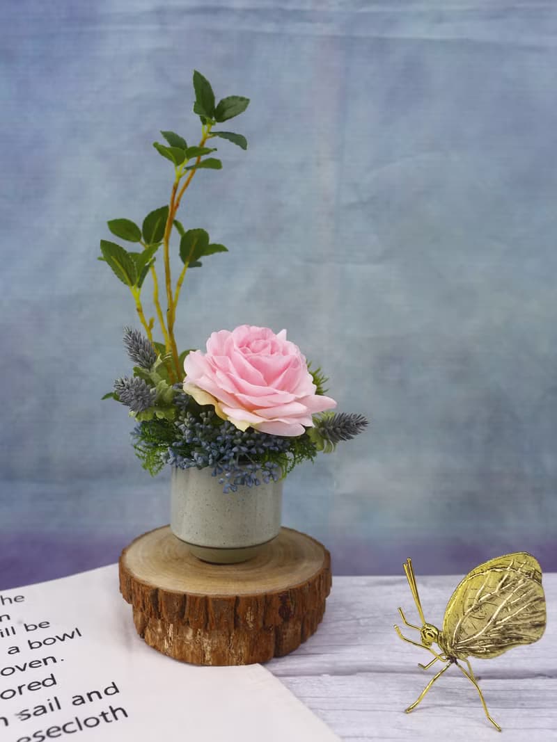 粉玫瑰榕樹枝日式陶盆香氛花禮/入厝禮/開幕/喬遷/送禮/植栽