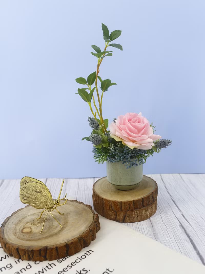 粉玫瑰榕樹枝日式陶盆香氛花禮/入厝禮/開幕/喬遷/送禮/植栽