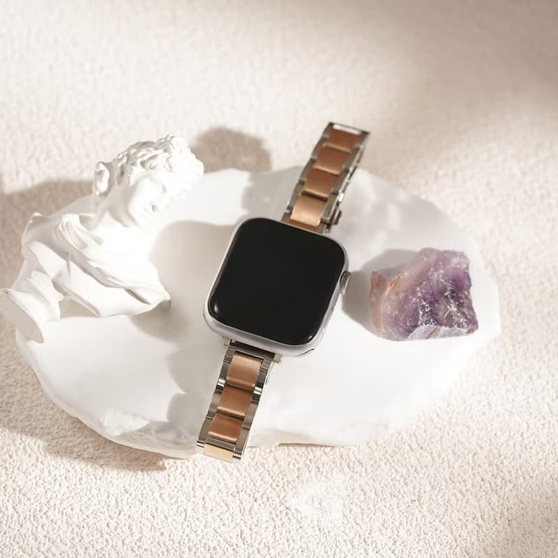 APPLE WATCH - 質感雙金屬   錶帶