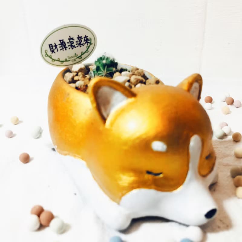 動物系列-招柴進寶