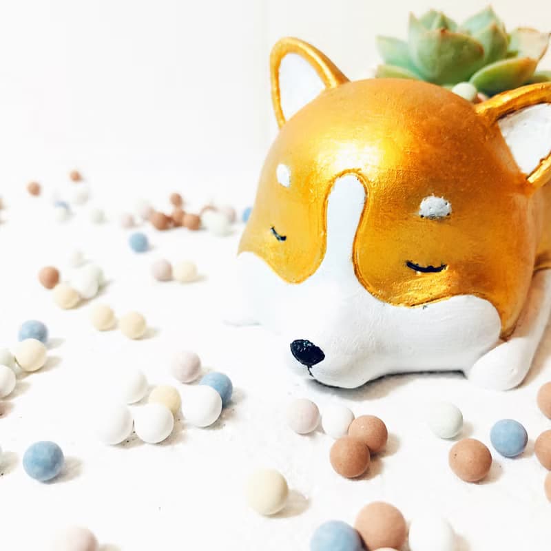 動物系列-招柴進寶