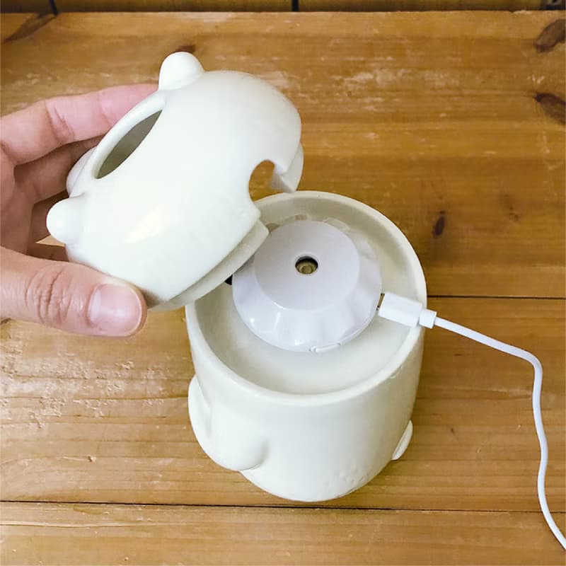 日本Decole 電動加濕器 - 濕潤小白熊
