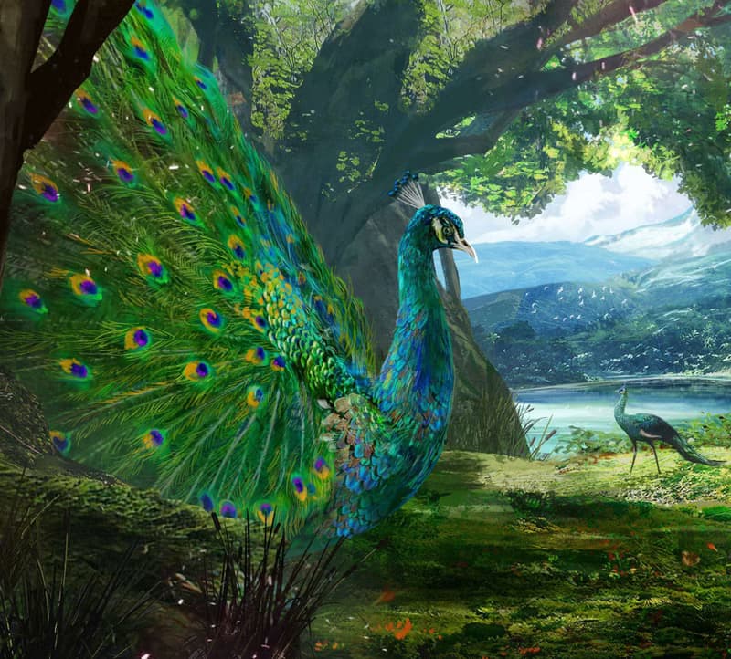 夢幻系列 - 仙境(經典)