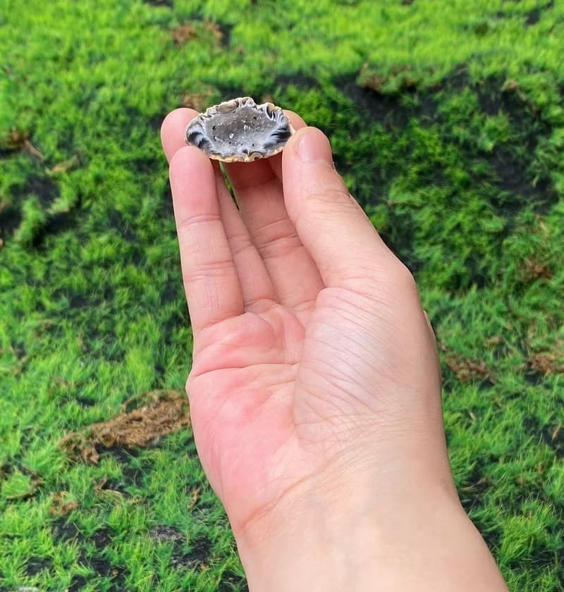 能量擺飾-瑪瑙可愛小晶洞聚寶盆 招財 療癒 開運 原礦 快速出貨