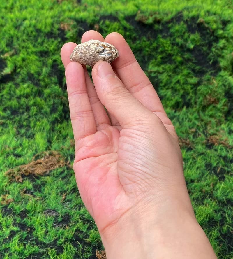 能量擺飾-瑪瑙可愛小晶洞聚寶盆 招財 療癒 開運 原礦 快速出貨