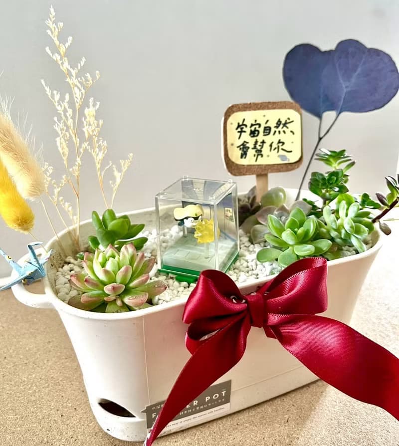 Tamama K隆星人 多肉組盆 多肉植物 晉升禮物 軍人禮物 祝福晉升