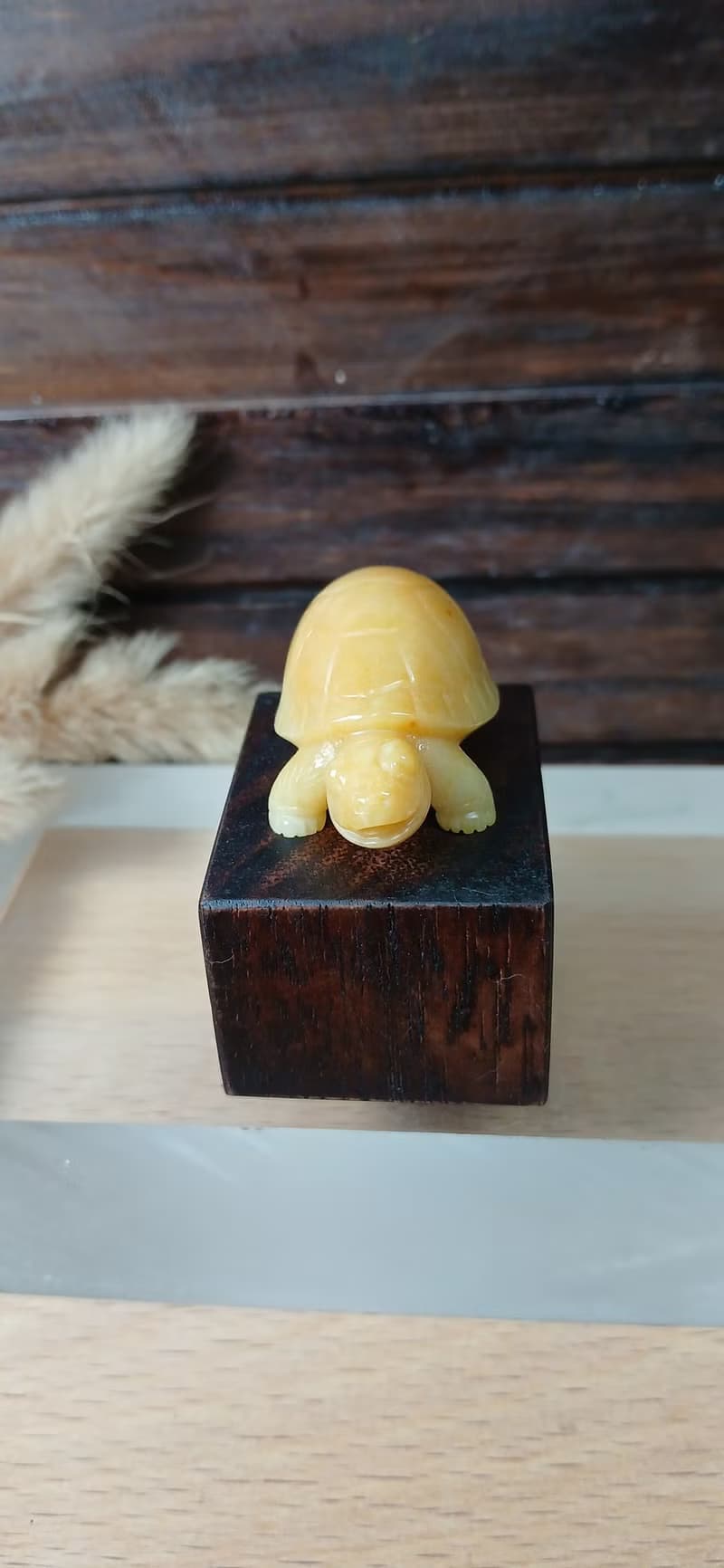 雕件 逗樂動物-金財龜 金絲玉