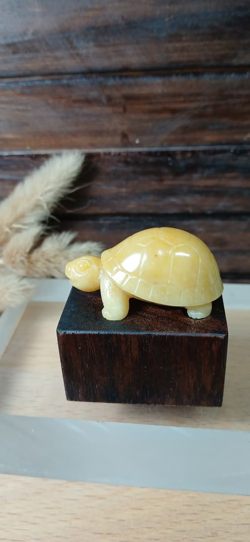 雕件 逗樂動物-金財龜 金絲玉