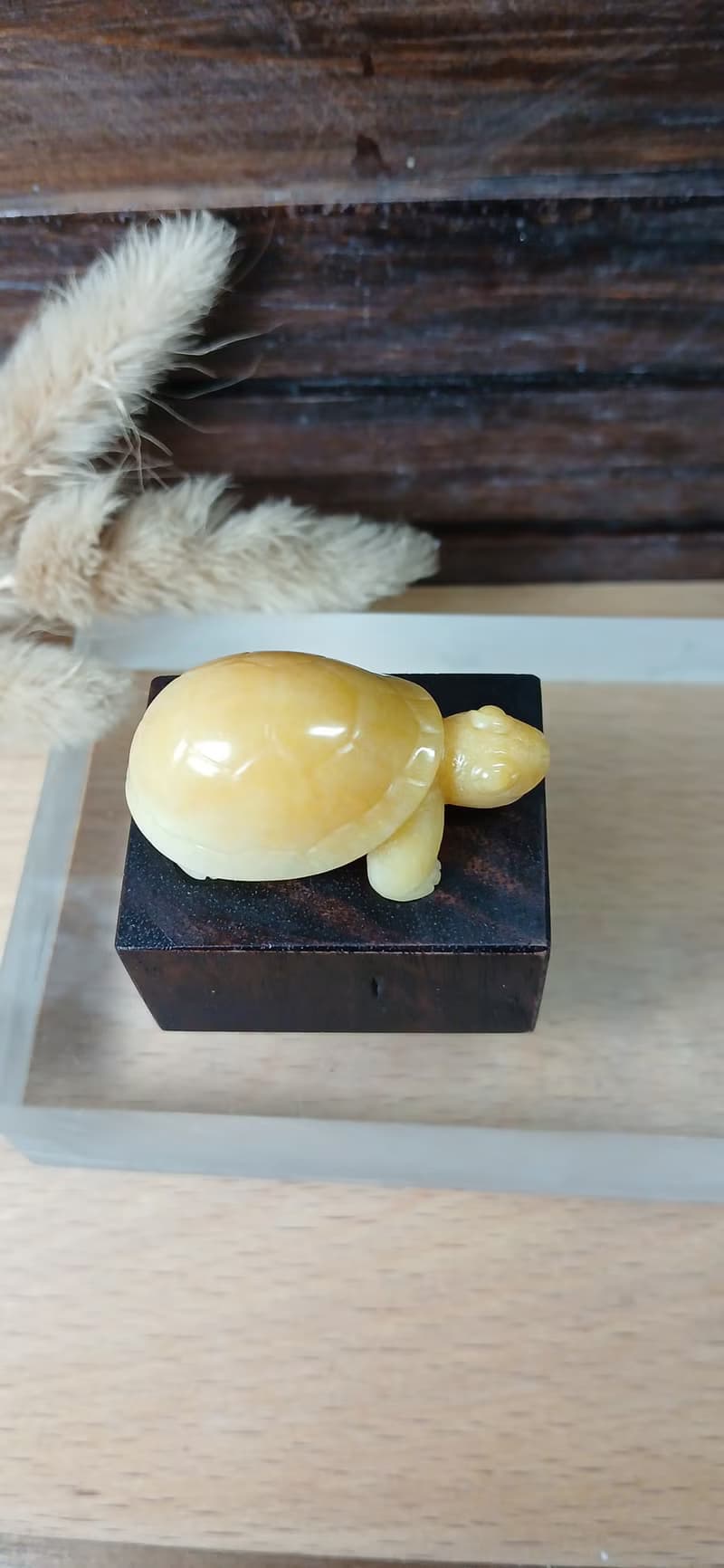 雕件 逗樂動物-金財龜 金絲玉