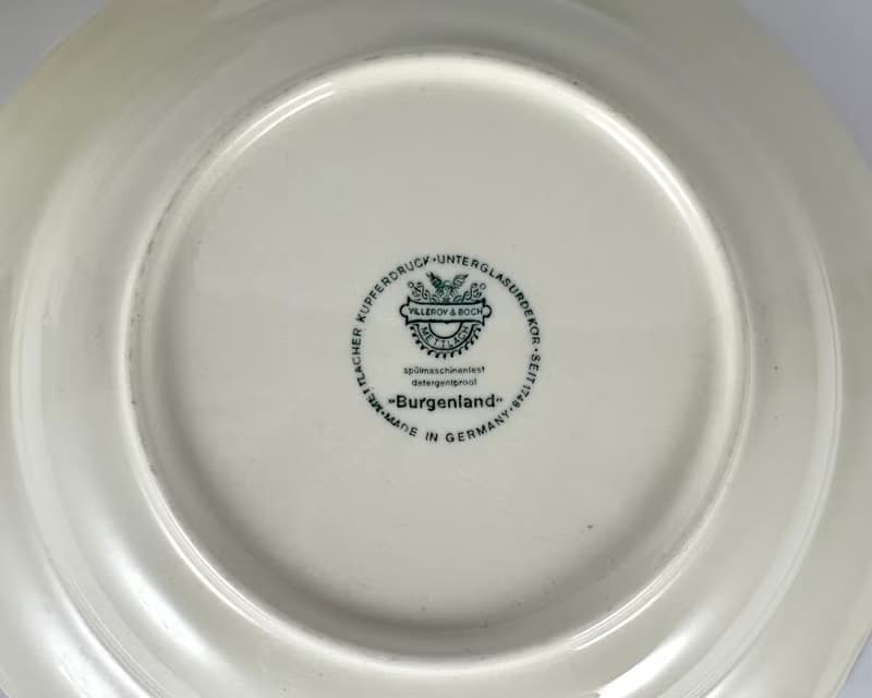 Villeroy & Boch 布爾根蘭湯義大利麵洋裝綠邊湯碗沙拉洋裝