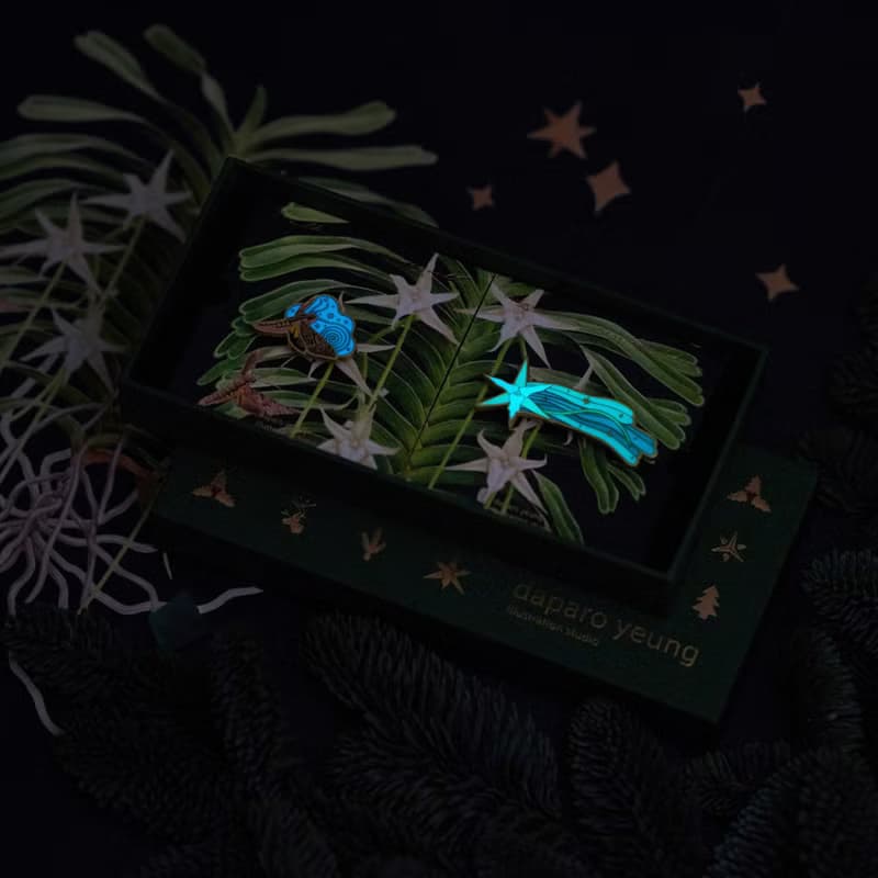 daparo 夜光仿琺琅胸針 - 達爾文的預測