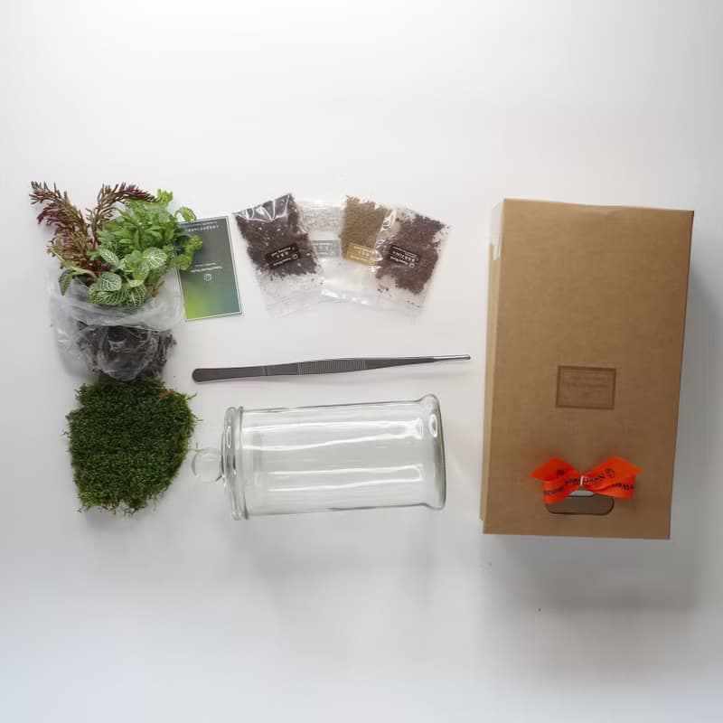 植物生態瓶DIY禮盒/兔兔公仔+教學影片