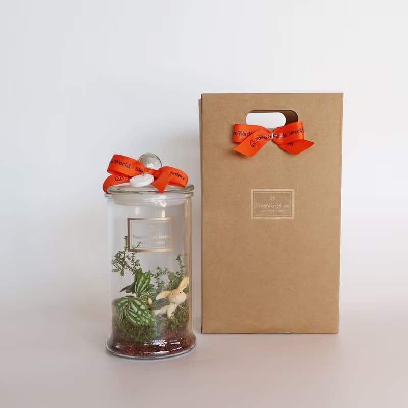 植物生態瓶DIY禮盒/兔兔公仔+教學影片