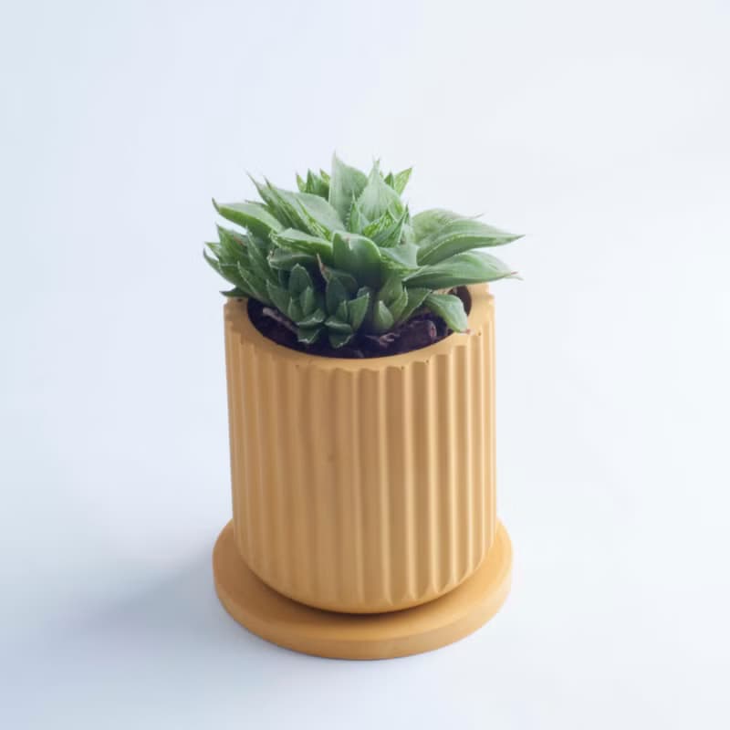 | woohuang | 台灣獨立設計 花器盆器 觀葉多肉觀賞植