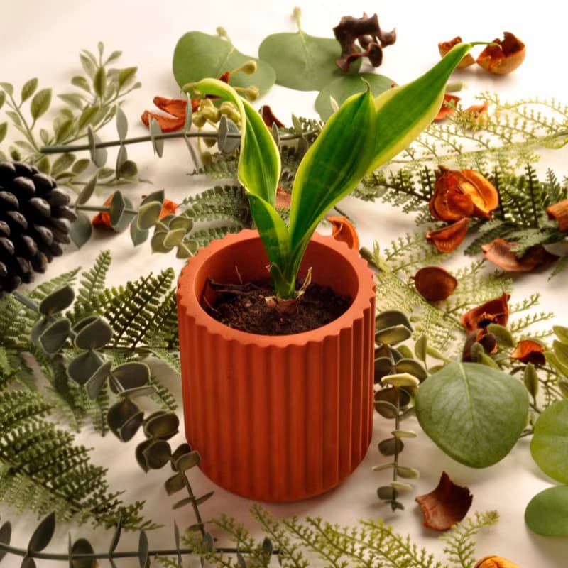 | woohuang | 台灣獨立設計 花器盆器 觀葉多肉觀賞植