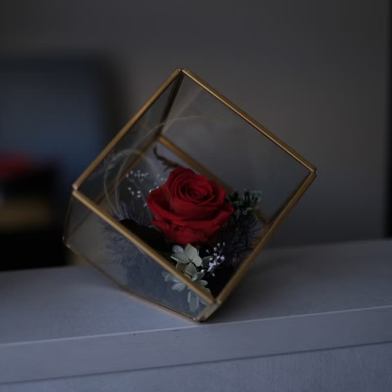 【多款】永生花玻璃花房 幾何玻璃屋  日本進口永生花