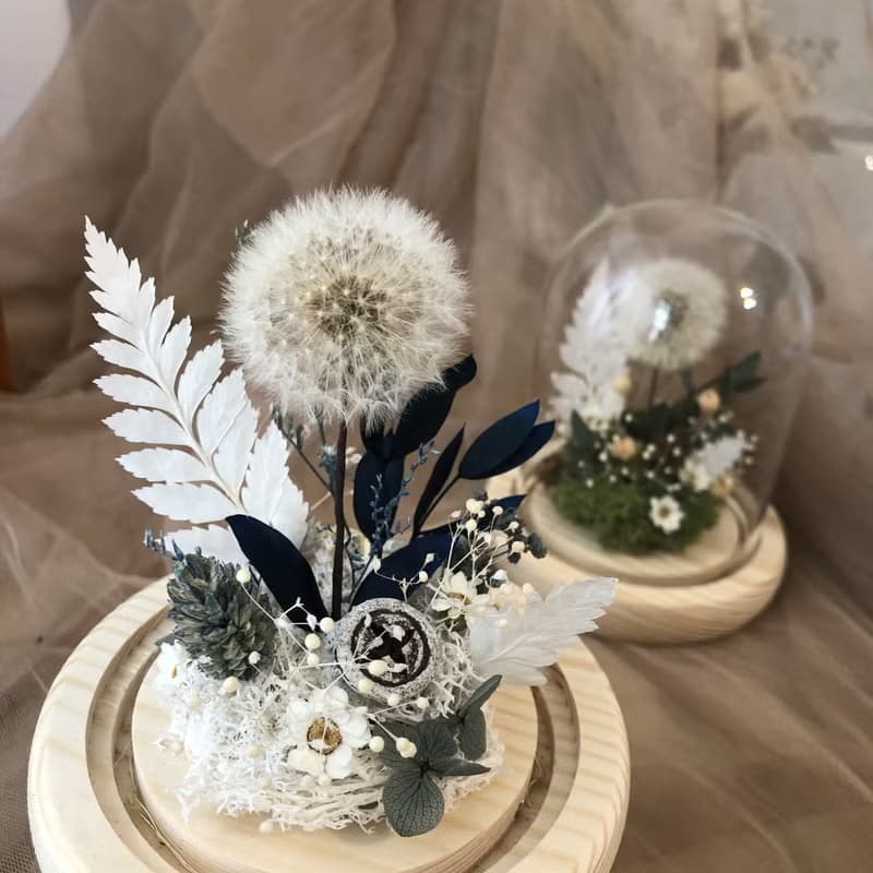 白色蒲公英 玻璃盅 夜燈 永生花 乾燥花 情人節禮物 夢幻 浪漫