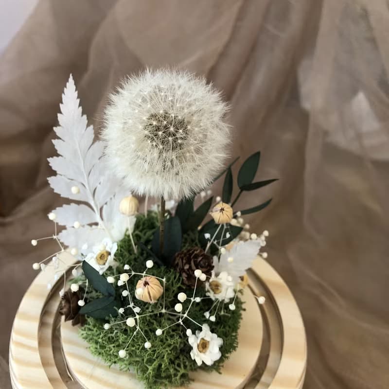 白色蒲公英 玻璃盅 夜燈 永生花 乾燥花 情人節禮物 夢幻 浪漫