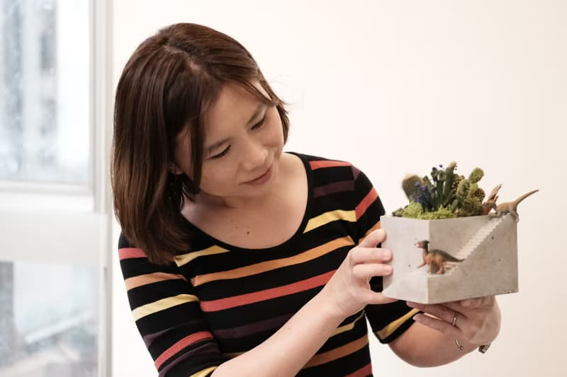 多肉植物 階梯水泥盆栽 多肉 仙人掌 水泥盆栽組 DIY 材料包