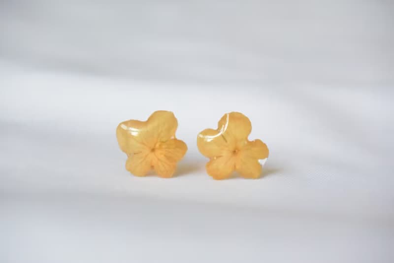 【耳飾系列】押花乾花耳環 可訂製 生日紀念結婚姊妹bb母親節禮物