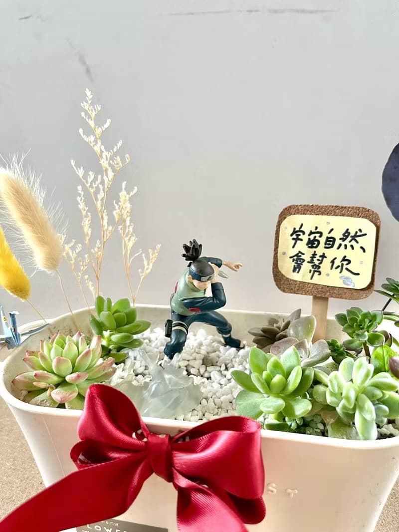 多肉組盆 多肉植物 日式 火影忍者 忍者 教師送禮 教師節 禮物