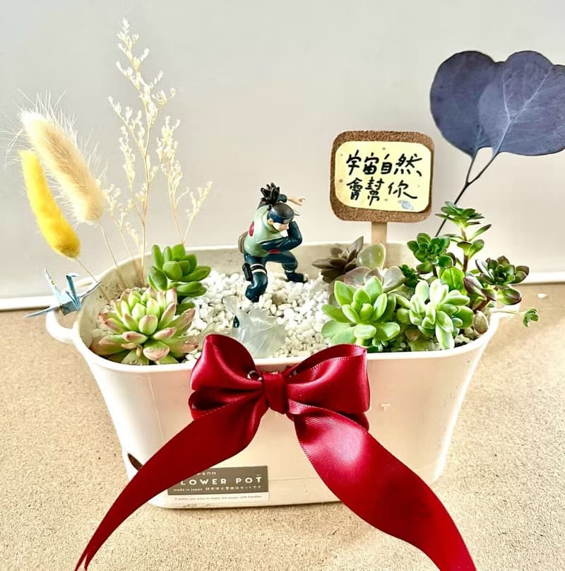 多肉組盆 多肉植物 日式 火影忍者 忍者 教師送禮 教師節 禮物